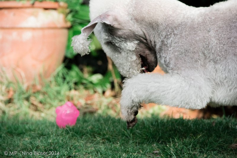 2014-03-14 Svet-8079-1.jpg